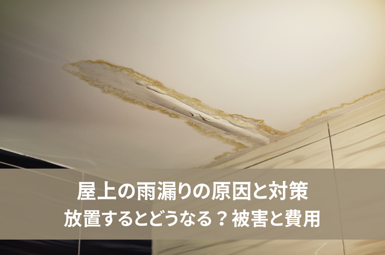 屋上雨漏り原因と対策｜放置するとどうなる？被害と費用を解説